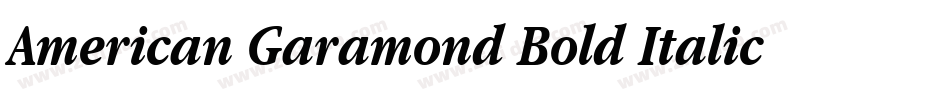 American Garamond Bold Italic BT字体转换